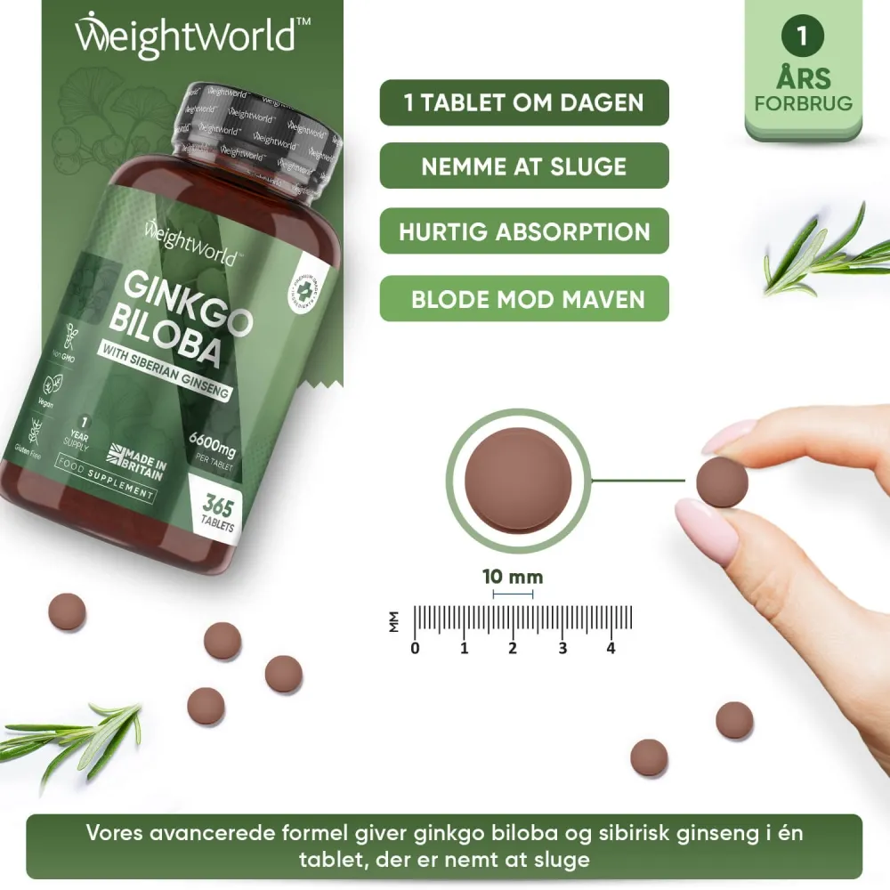 Ginkgo Biloba & Ginseng - Image 4