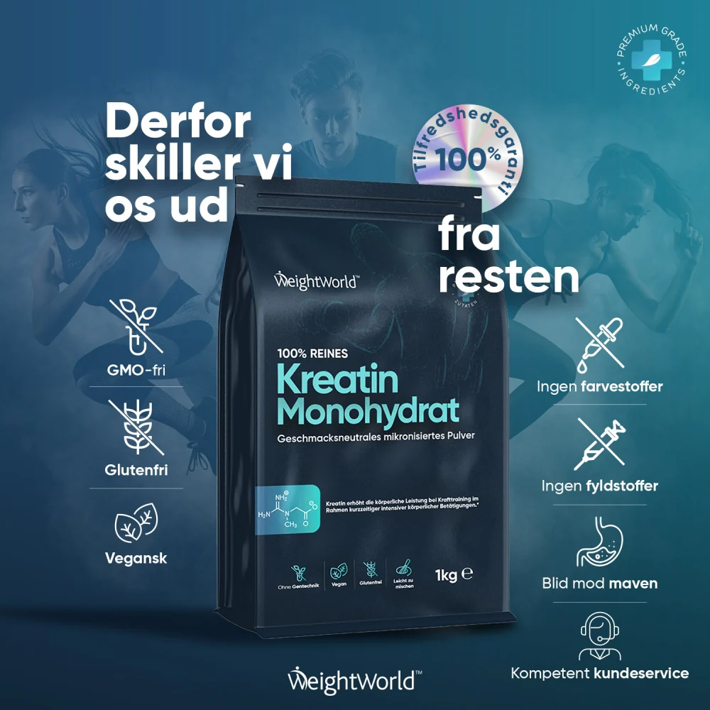 Kreatinpulver (Monohydrat) - Image 8