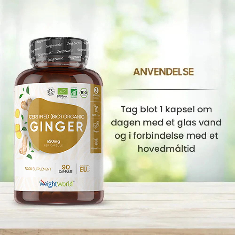 Økologisk Ingefær 650mg - Image 4