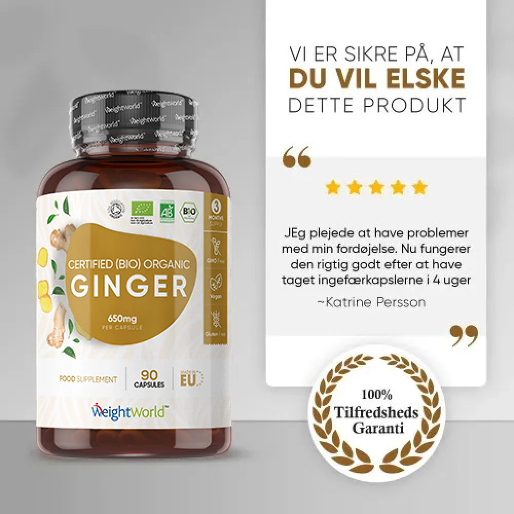 Økologisk Ingefær 650mg - Image 5